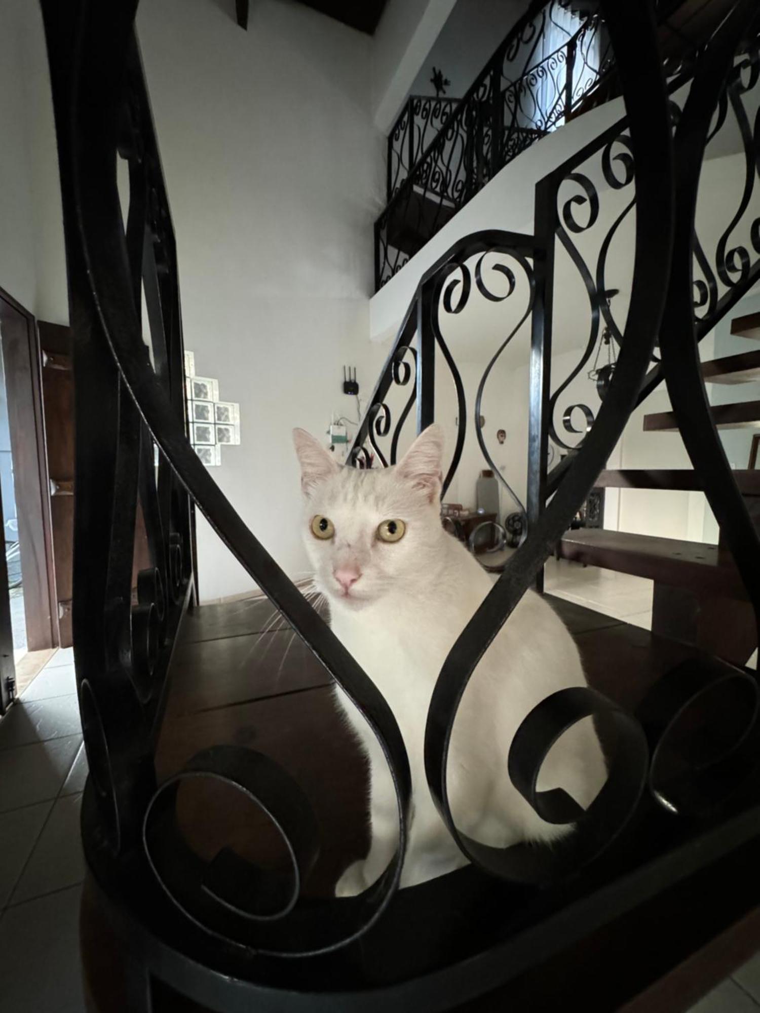 Guest house Bahan Privativas - Ideal Casais